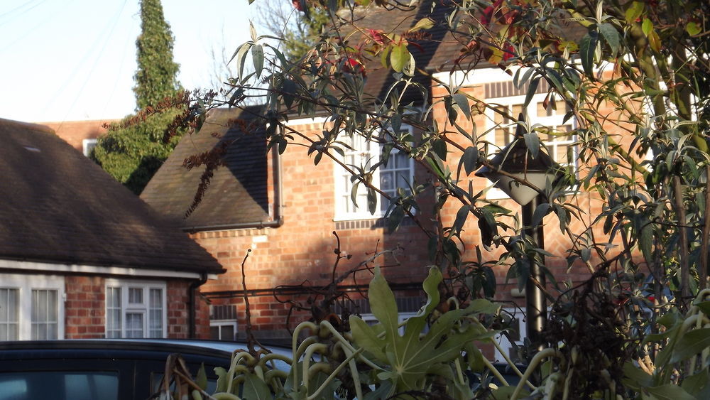 The Peacock Townhouse Hotel Kenilworth - Warwick Eksteriør bilde